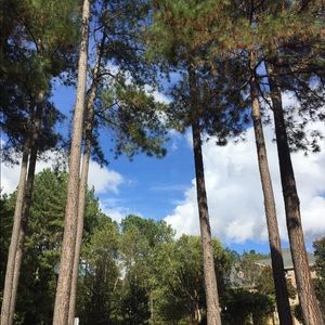 Meet your Posher, Cassie